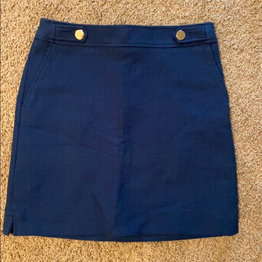 Ann Taylor Pencil Skirt NWT